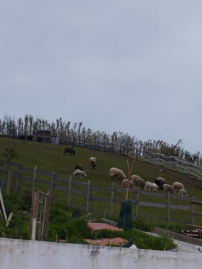 Um Da Casa Do Monte *