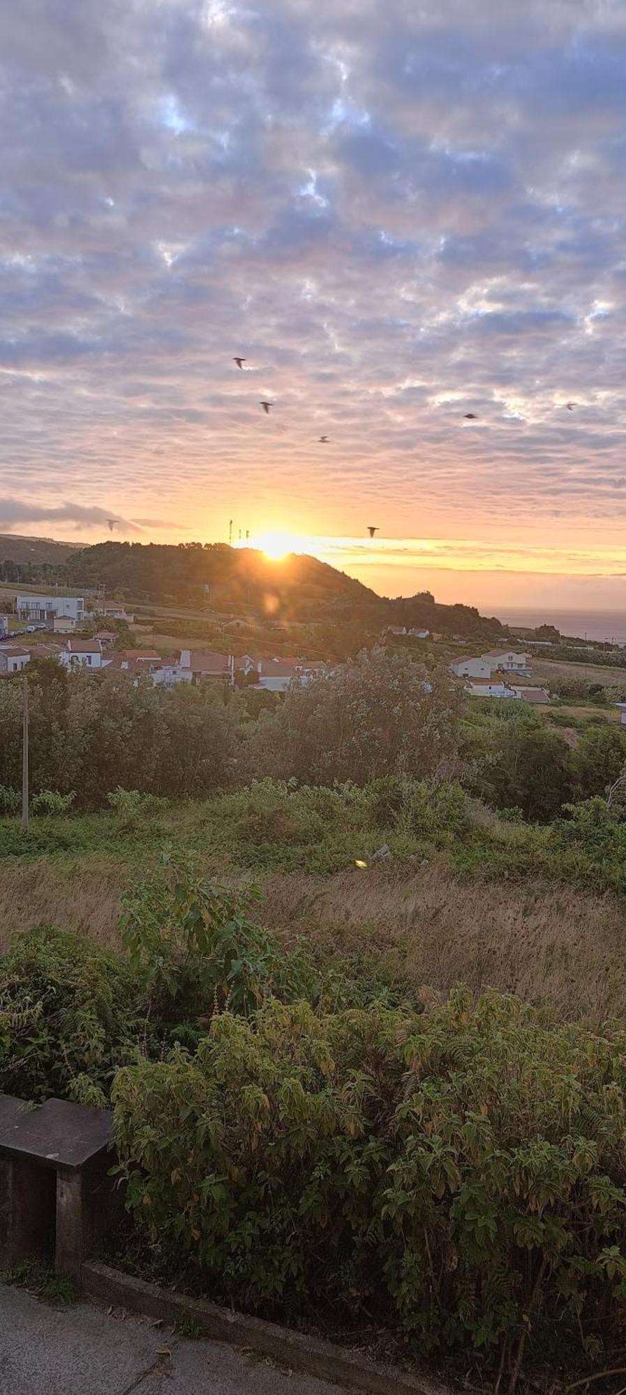 Um Da Casa Do Monte Apartment Vila Franca do Campo